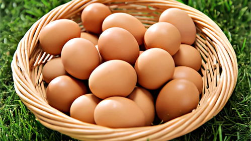 企业女高管对闺蜜称自己卖鸡蛋 她没撒谎,经营范围确含鲜蛋零售
