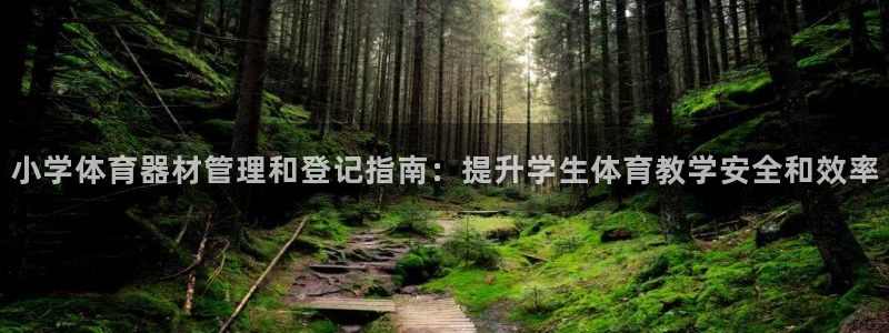 星欧娱乐公司：小学体育器材管理和登记指南：提升学生体
