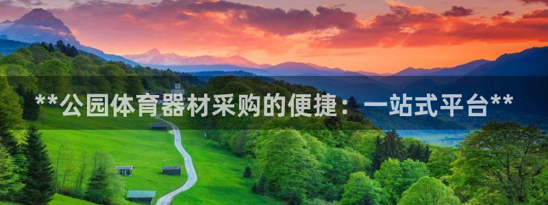 星欧娱乐挂机赚钱：**公园体育器材采购的便捷：一站式