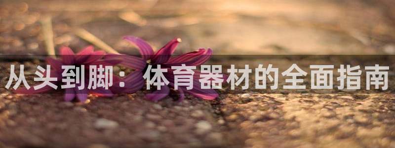 星欧娱乐平台怎么样可靠吗：从头到脚：体育器材的全面指