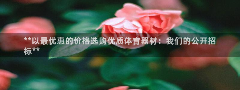 星欧娱乐挂机教程视频：**以最优惠的价格选购优质体育