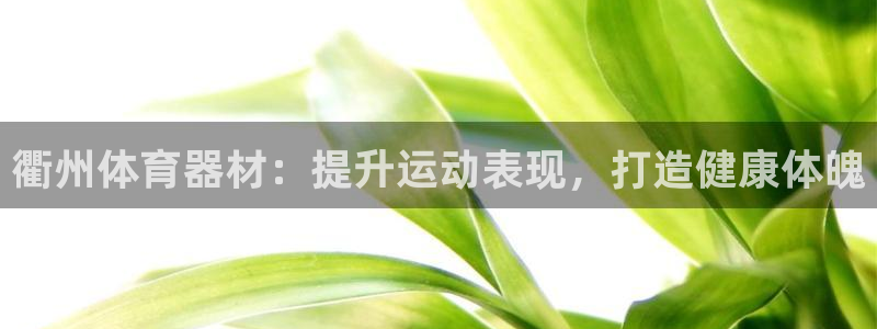 星欧娱乐平台测速线路怎么设置：衢州体育器材：提升运动