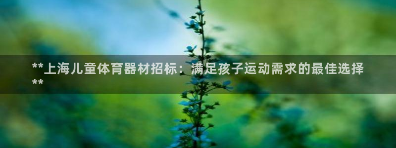 星欧娱乐的创始人背景故事介绍：**上海儿童体育器材招
