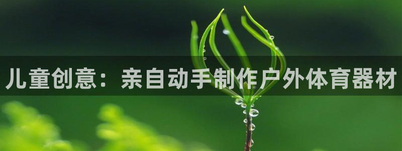 星欧娱乐官方客服联系方式电话：儿童创意：亲自动手制作