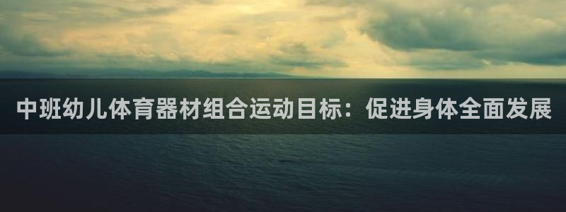 星欧娱乐最建议买的三个产品是什么意思：中班幼儿体育器