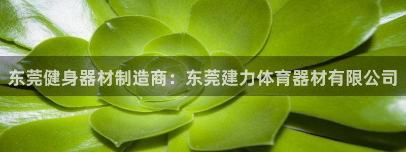 星欧娱乐官方客服联系方式电话