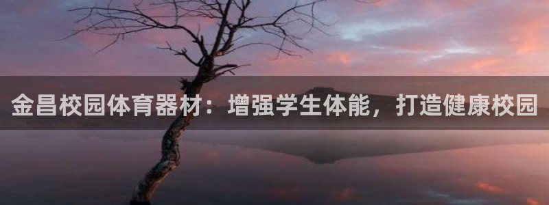 星欧娱乐退款流程详解：金昌校园体育器材：增强学生体能