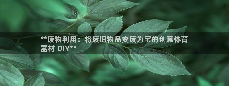 星欧娱乐最建议买的三个游戏是什么：**废物利用：将废