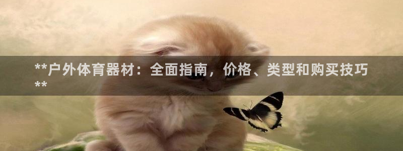 星欧娱乐是正规品牌吗
