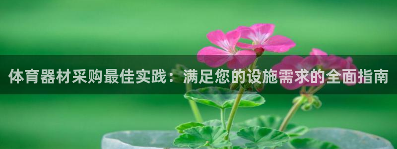 星欧娱乐的创始人背景故事