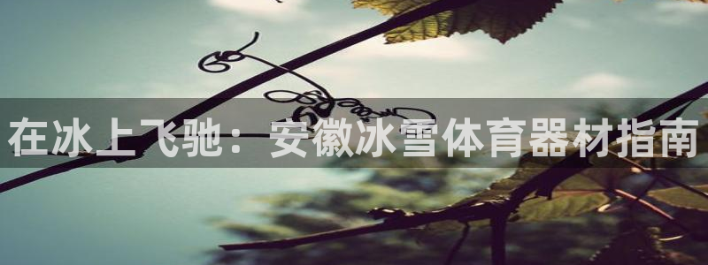 欧亿测速娱乐：在冰上飞驰：安徽冰雪体育器材指南