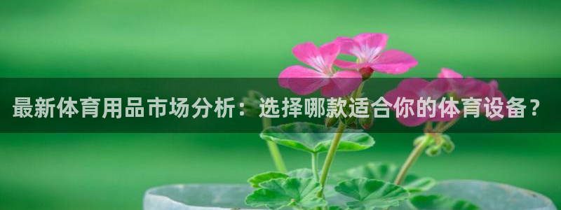 传奇星娱乐