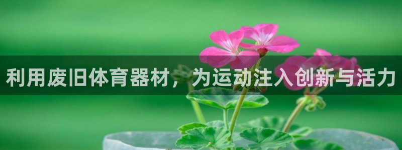 星欧娱乐扣款时间查询方法是什么意思