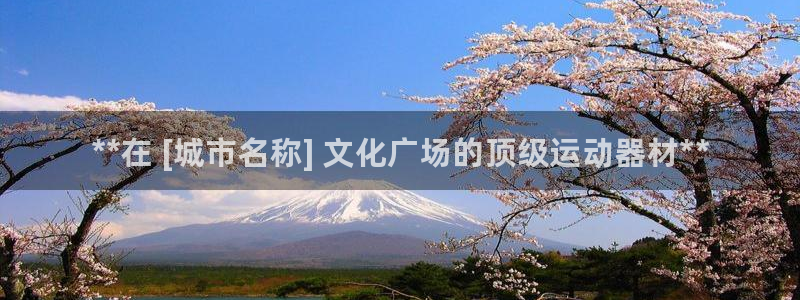 星欧娱乐属于什么档次的软件：**在 [城市名称] 文化广场的