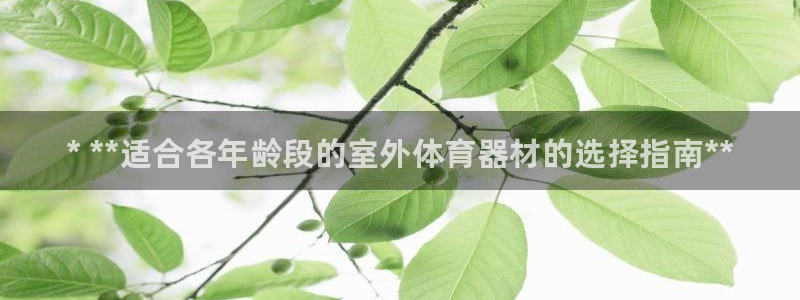 星欧娱乐扣款：* **适合各年龄段的室外体育器材的选择指南*