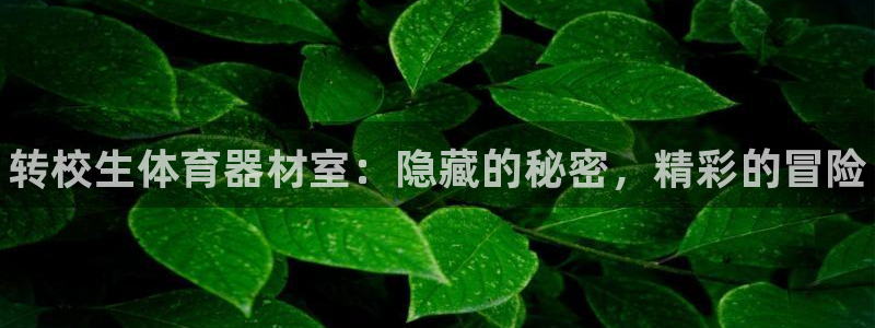 星澳娱乐公司：转校生体育器材室：隐藏的秘密，精彩的冒险