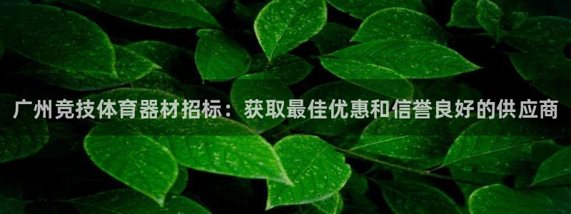 星欧娱乐平台怎么样可靠吗知乎：广州竞技体育器材招标：获取最佳