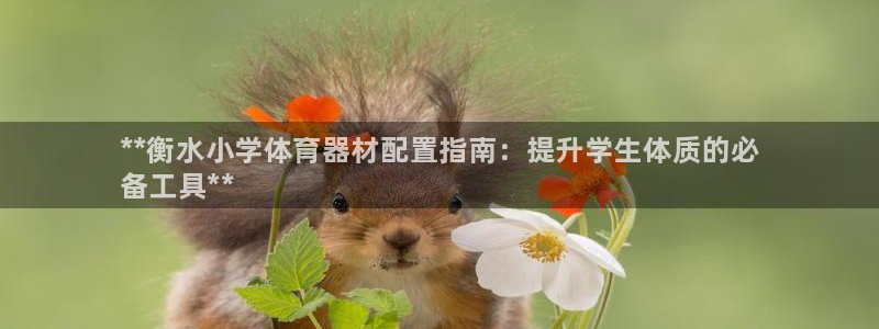 星欧娱乐平台怎么样知乎：**衡水小学体育器材配置指南