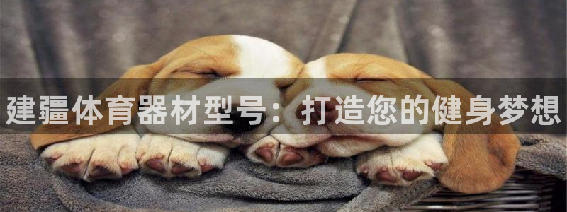 星欧娱乐发7O777：建疆体育器材型号：打造您的健身