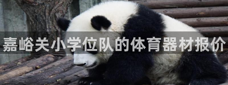 星欧娱乐联和哪个品牌合作：嘉峪关小学位队的体育器材报