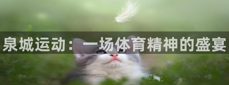 星奥娱乐旗下艺人：泉城运动：一场体育精神的盛宴