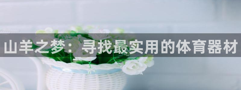 星奥娱乐集团股份有限公司怎么样：山羊之梦：寻找最实用的体育器