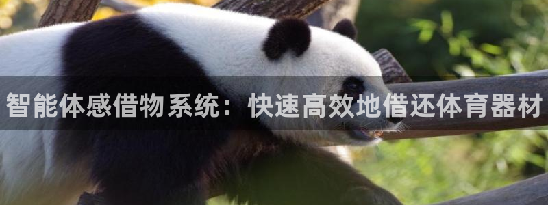 星欧娱乐下载最新版本更新内容：智能体感借物系统：快速高效地借