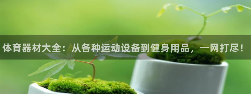 星欧娱乐平台测速线路设置：体育器材大全：从各种运动设