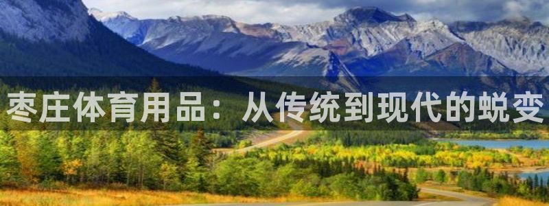 星欧娱乐扣款流程详解视频：枣庄体育用品：从传统到现代