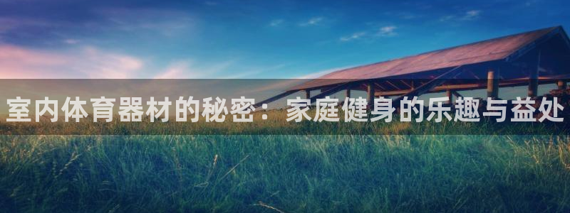 新星娱乐怎么开挂：室内体育器材的秘密：家庭健身的乐趣与益处